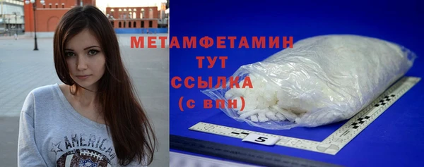 шишки Сосновый Бор