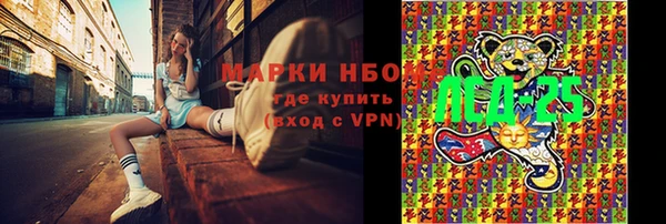 амф Осинники